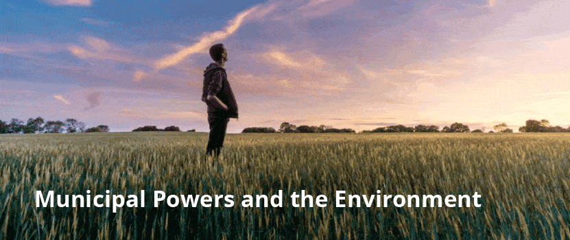 Municipal Powers and the Environment