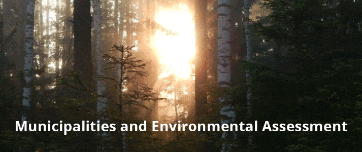 Municipalities and Environmental Assessment