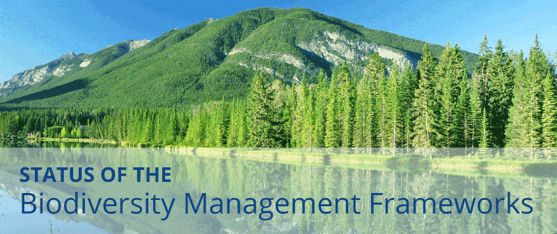 Status of Biodiversity Management Frameworks in Alberta
