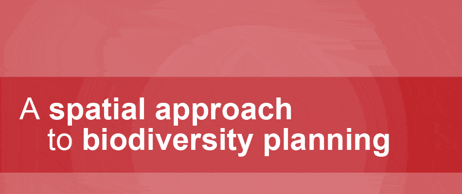 A spatial approach to biodiversity planning