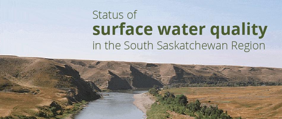 Surface water quality in the South Saskatchewan region