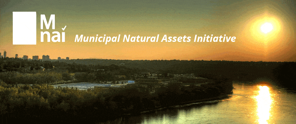 Tracking natural assets in municipalities