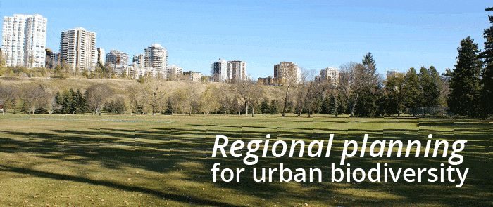 Regional planning as a tool for urban biodiversity