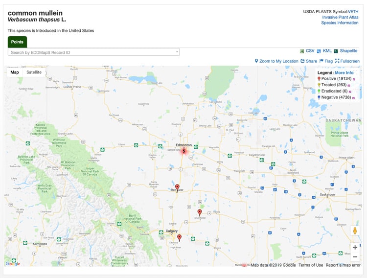 Screenshot of Alberta invasive species map