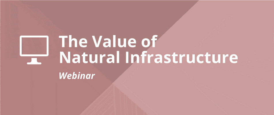 Webinar replay – The Value of Natural Infrastructure