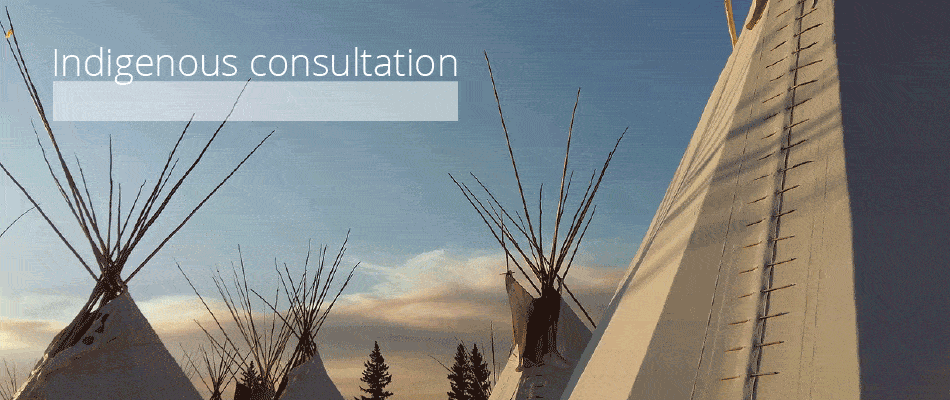 7 resources for Indigenous consultation