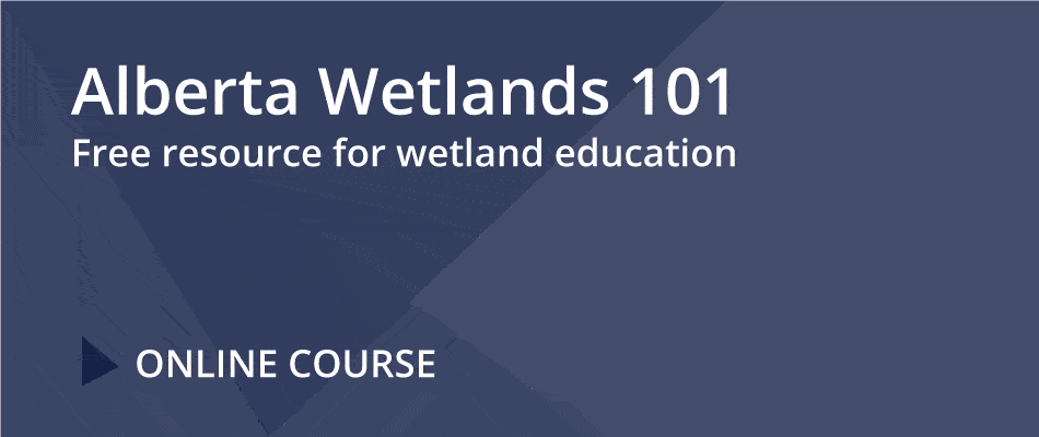 Alberta Wetlands 101 (Online Course)