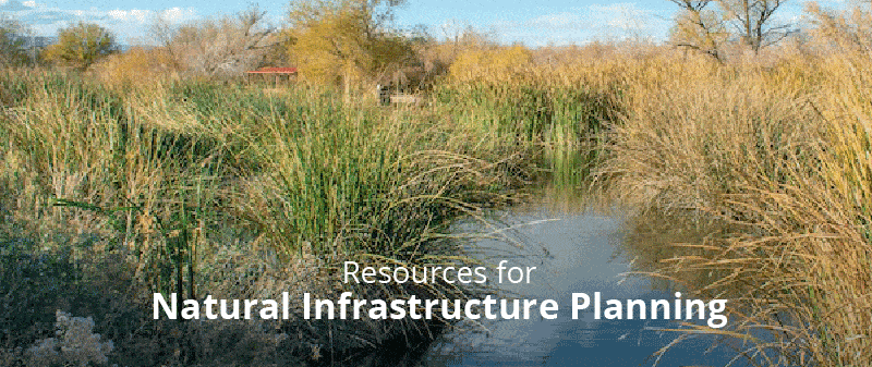 Resources for natural infrastructure planning in Alberta