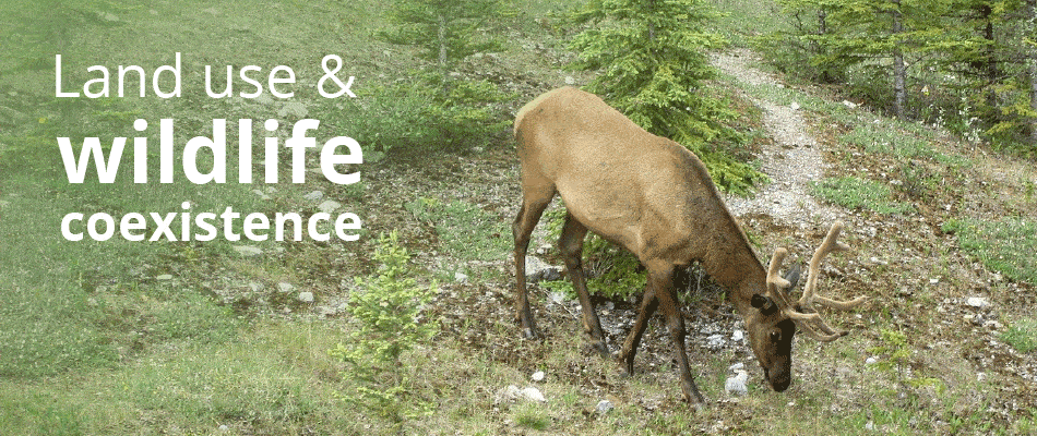 Wildlife coexistence and land use planning