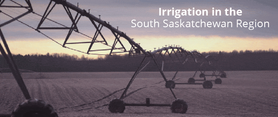 Irrigation strategy in the South Saskatchewan region