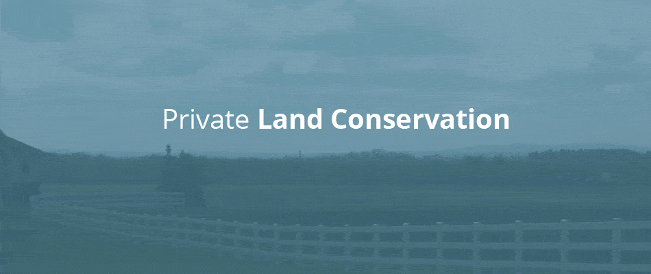 Value of private land conservation in Alberta
